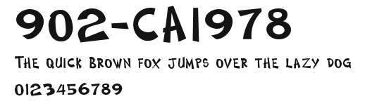 902-CAI978 Preview