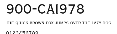 900-CAI978 Preview