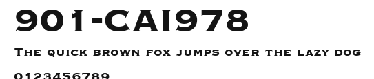 901-CAI978 Preview