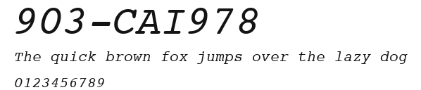 903-CAI978 Preview