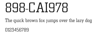 898-CAI978 Preview