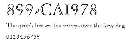 899-CAI978 Preview