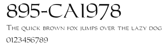 895-CAI978 Preview