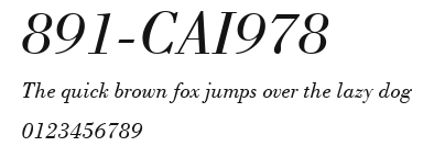 891-CAI978 Preview