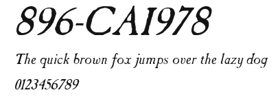 896-CAI978 Preview
