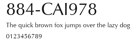 884-CAI978 Preview