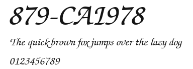 879-CAI978 Preview