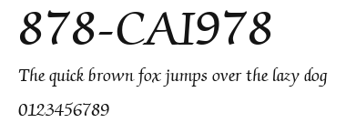 878-CAI978 Preview
