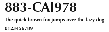 883-CAI978 Preview