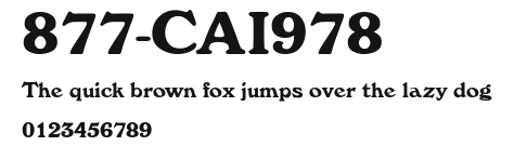 877-CAI978 Preview