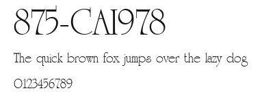 875-CAI978 Preview