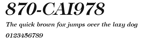 870-CAI978 Preview