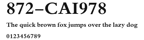 872-CAI978 Preview
