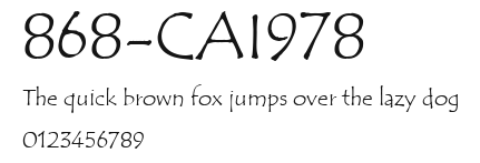 868-CAI978 Preview