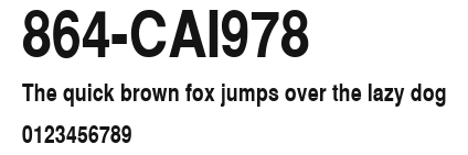 864-CAI978 Preview