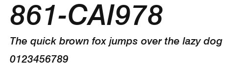 861-CAI978 Preview