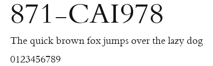 871-CAI978 Preview