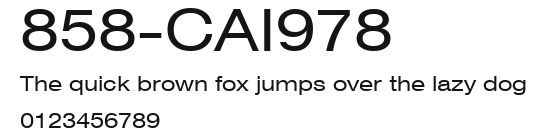 858-CAI978 Preview