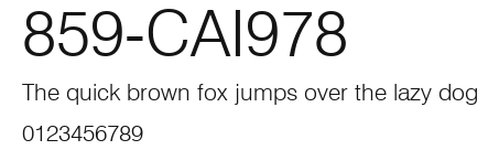 859-CAI978 Preview