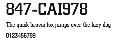 847-CAI978 Preview
