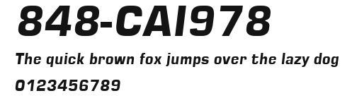 848-CAI978 Preview