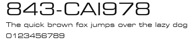 843-CAI978 Preview
