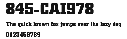 845-CAI978 Preview