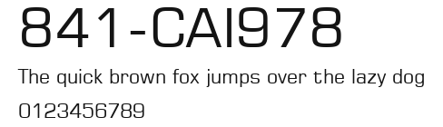 841-CAI978 Preview