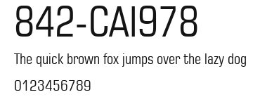 842-CAI978 Preview
