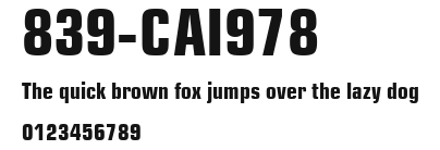 839-CAI978 Preview