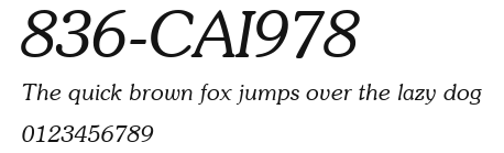 836-CAI978 Preview