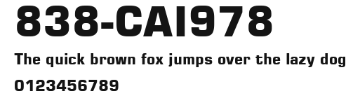 838-CAI978 Preview