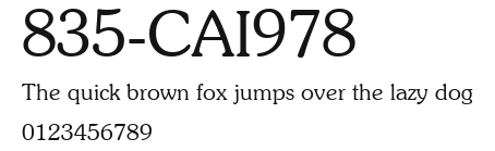 835-CAI978 Preview
