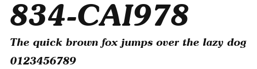 834-CAI978 Preview