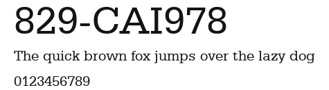 829-CAI978 Preview