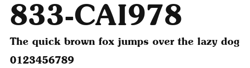 833-CAI978 Preview