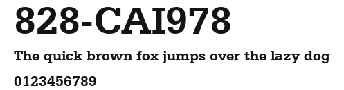 828-CAI978 Preview