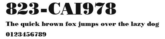 823-CAI978 Preview
