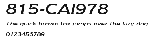 815-CAI978 Preview