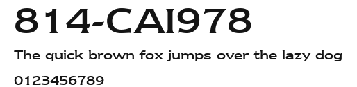814-CAI978 Preview