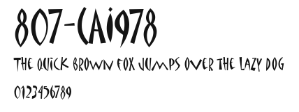 807-CAI978 Preview
