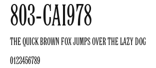 803-CAI978 Preview