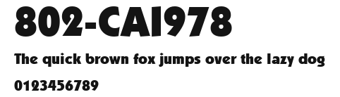 802-CAI978 Preview