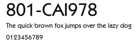 801-CAI978 Preview