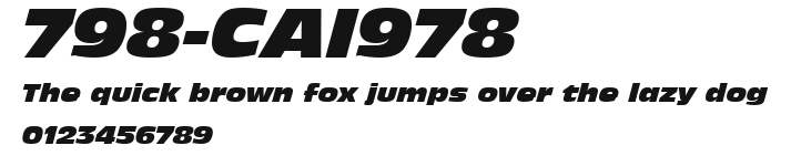 798-CAI978 Preview
