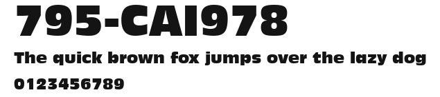 795-CAI978 Preview