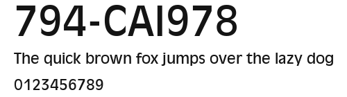 794-CAI978 Preview