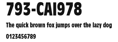 793-CAI978 Preview