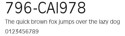 796-CAI978 Preview