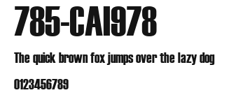 785-CAI978 Preview
